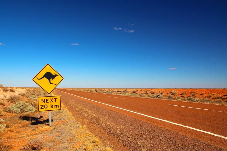 Kangaroos crossing.